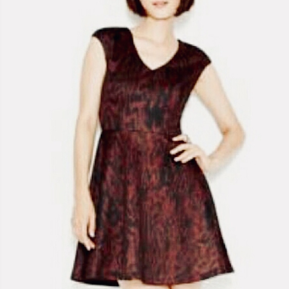 🌟HP🌟BAR III Printed Skater Dress Size XS